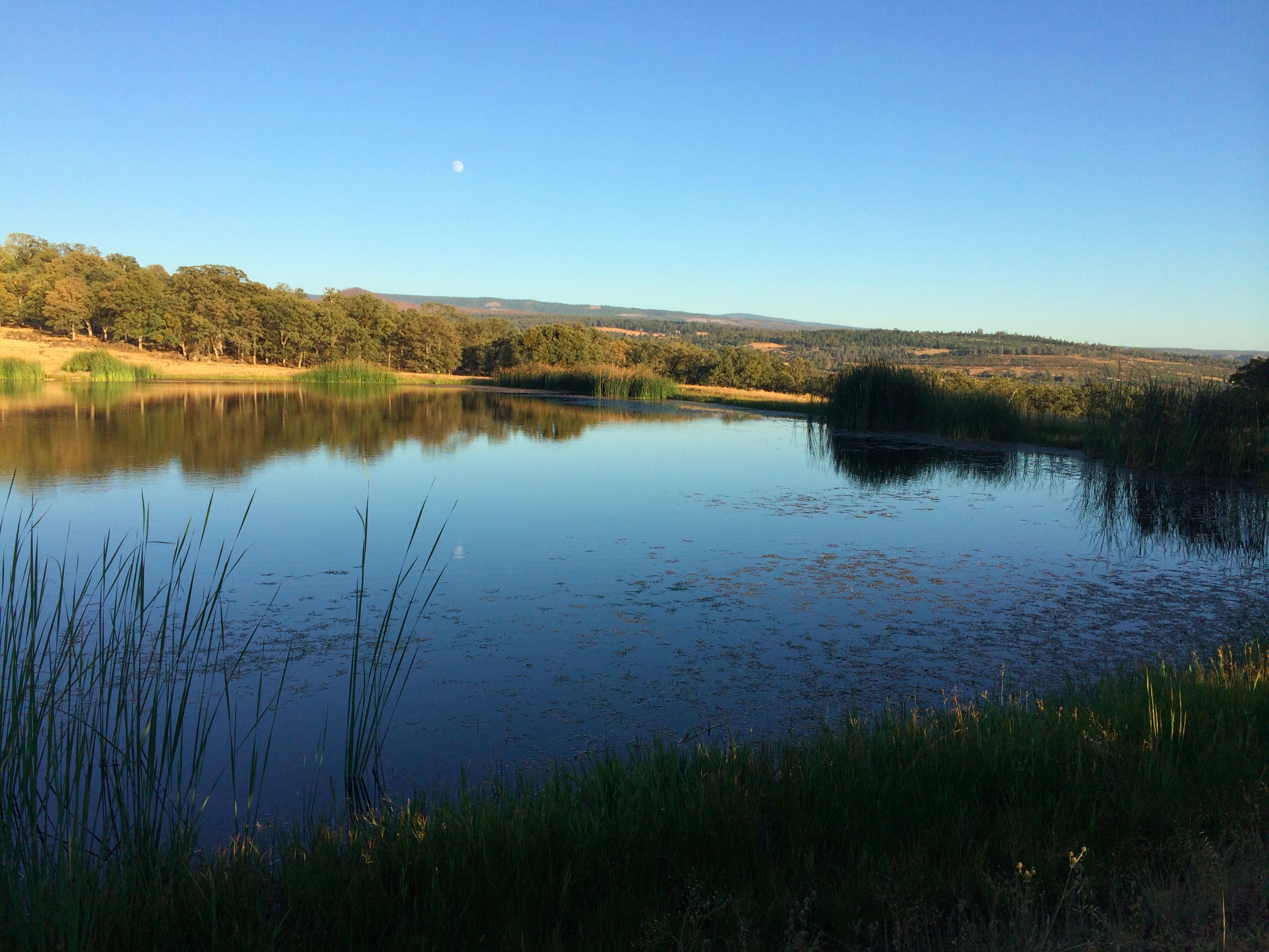 4955 Wilson Hill Road Manton, CA 96059 - Photo 39 of 89 IMG_8033