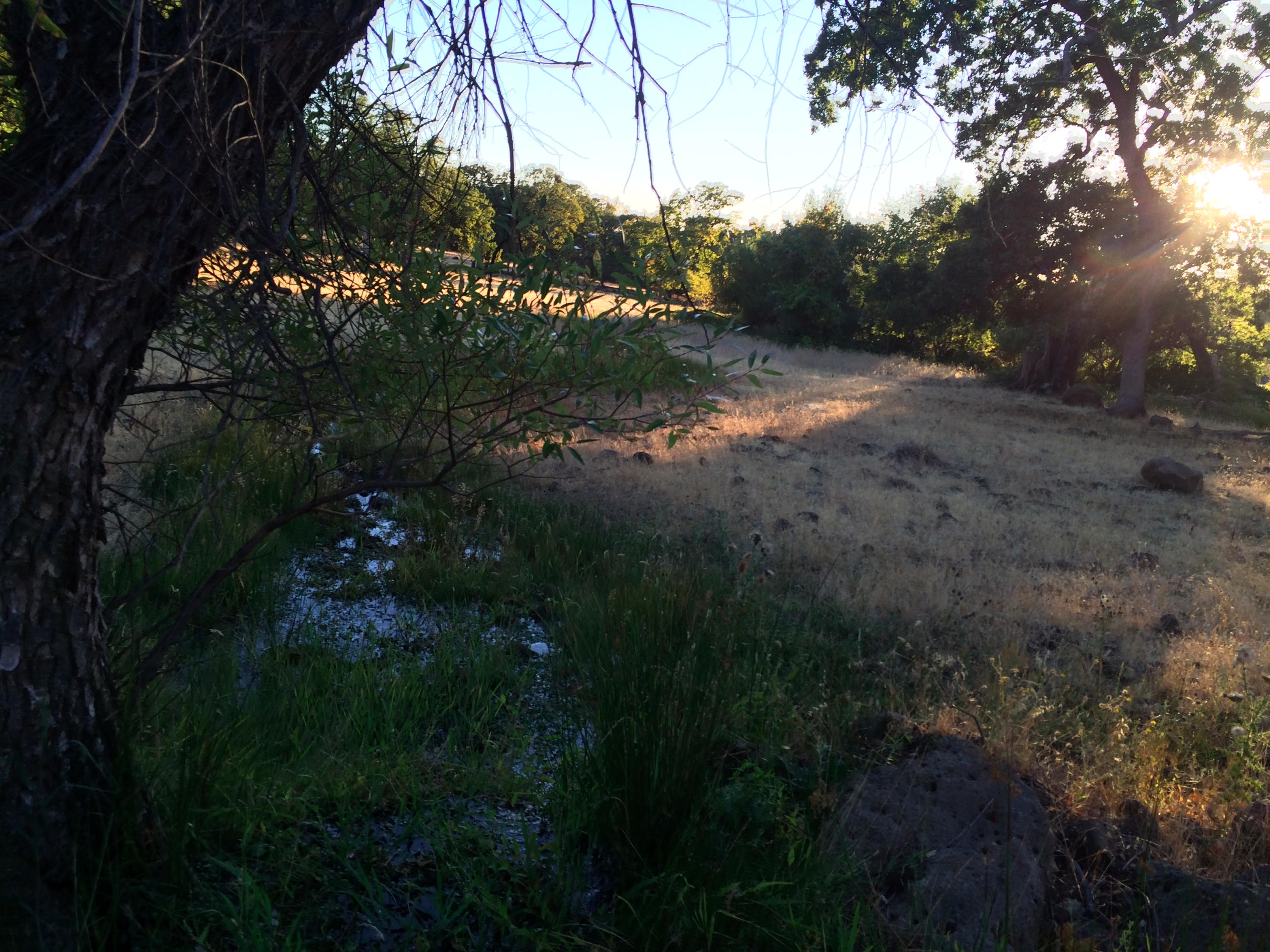 4955 Wilson Hill Road Manton, CA 96059 - Photo 43 of 89 IMG_8040