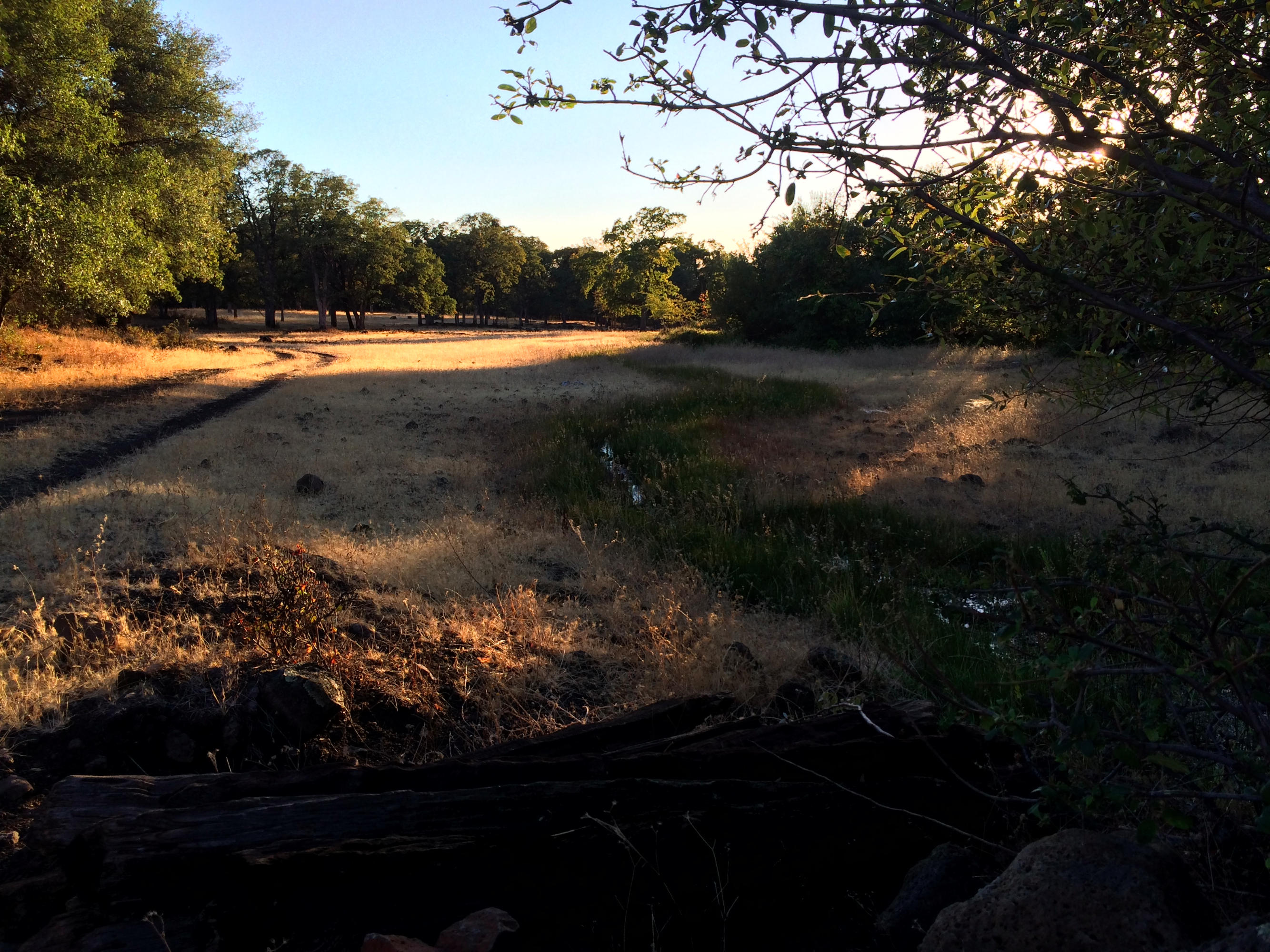 4955 Wilson Hill Road Manton, CA 96059 - Photo 44 of 89 IMG_8041