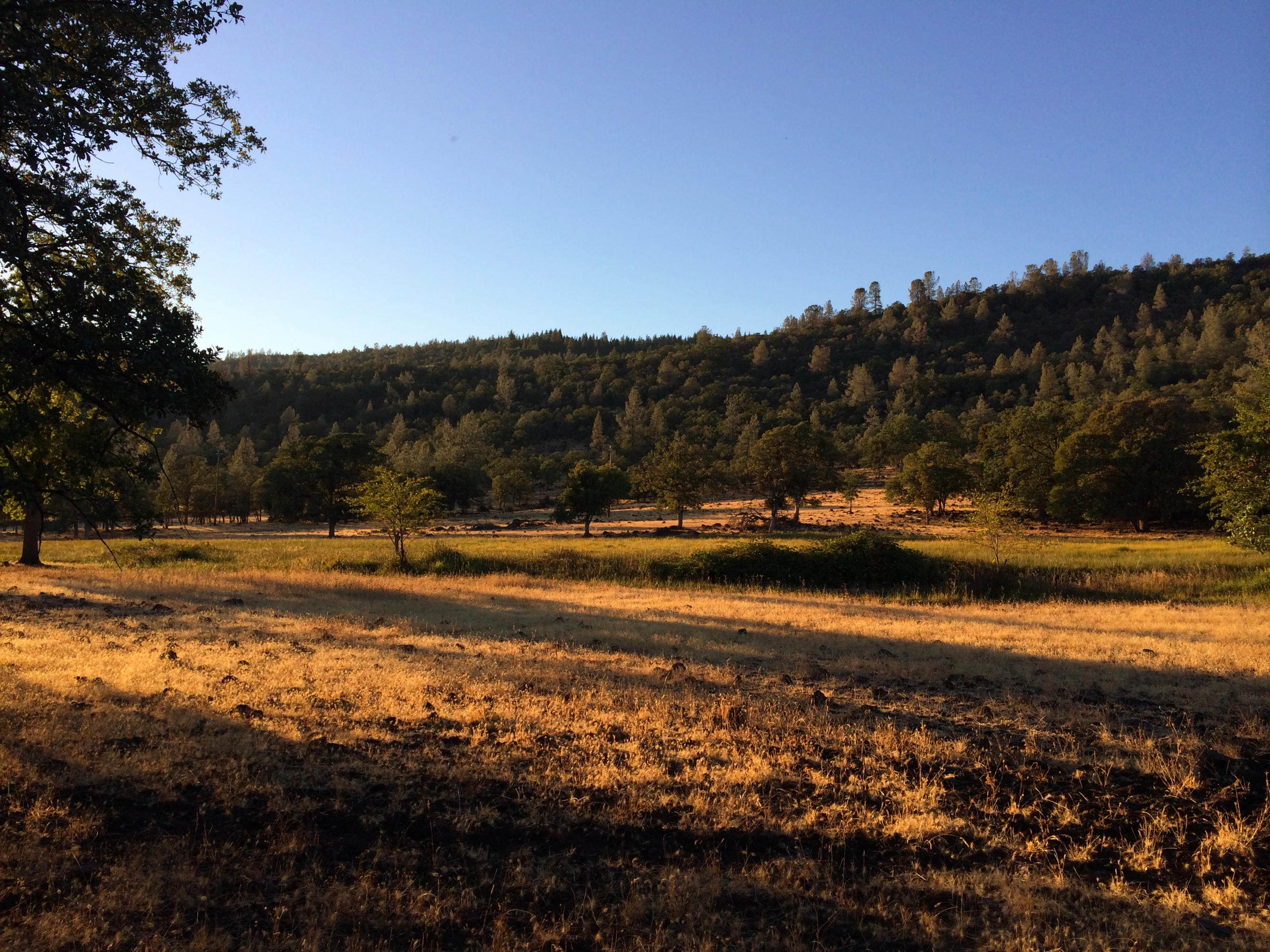 4955 Wilson Hill Road Manton, CA 96059 - Photo 46 of 89 IMG_8043