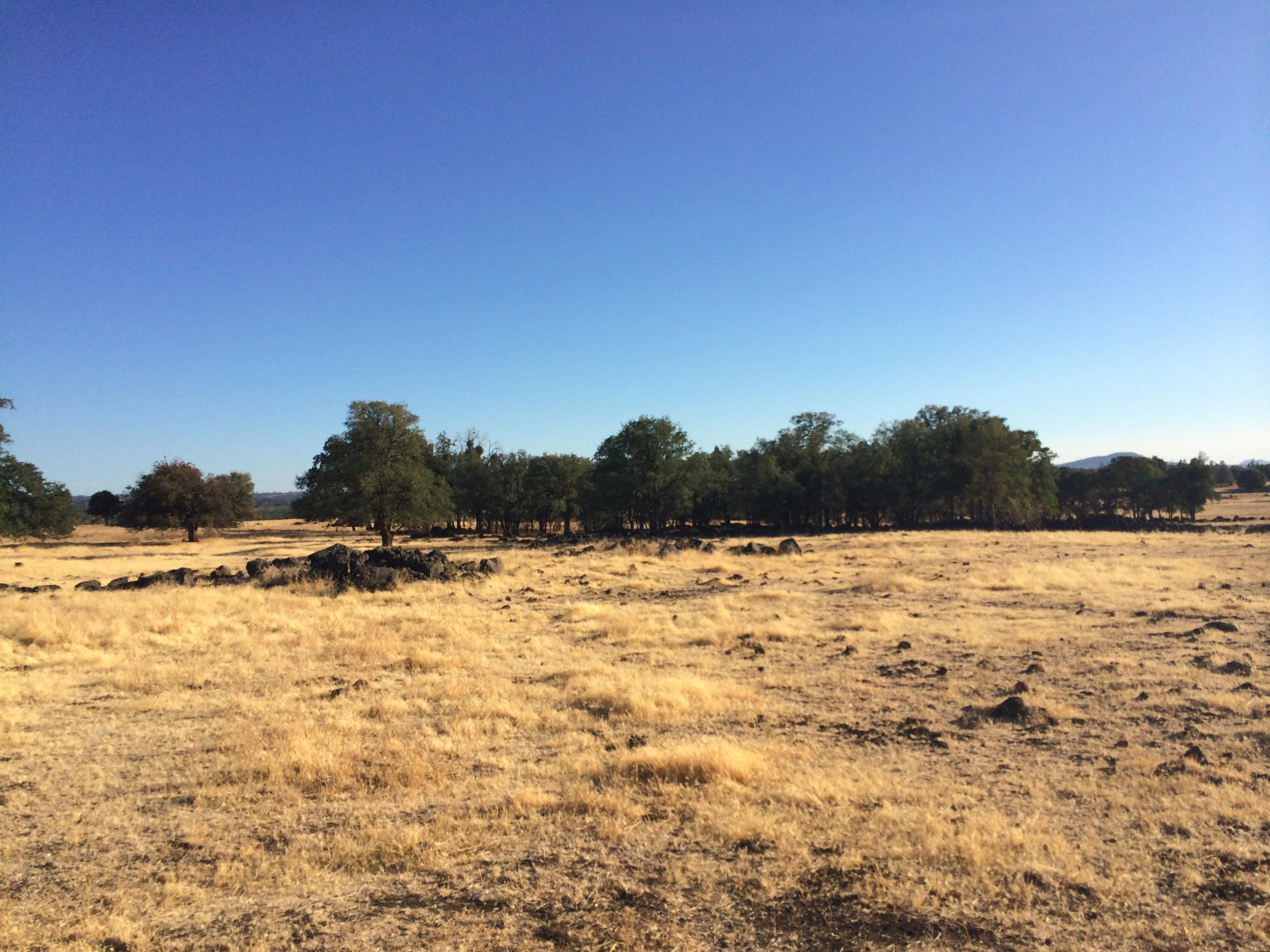4955 Wilson Hill Road Manton, CA 96059 - Photo 5 of 89 IMG_7993