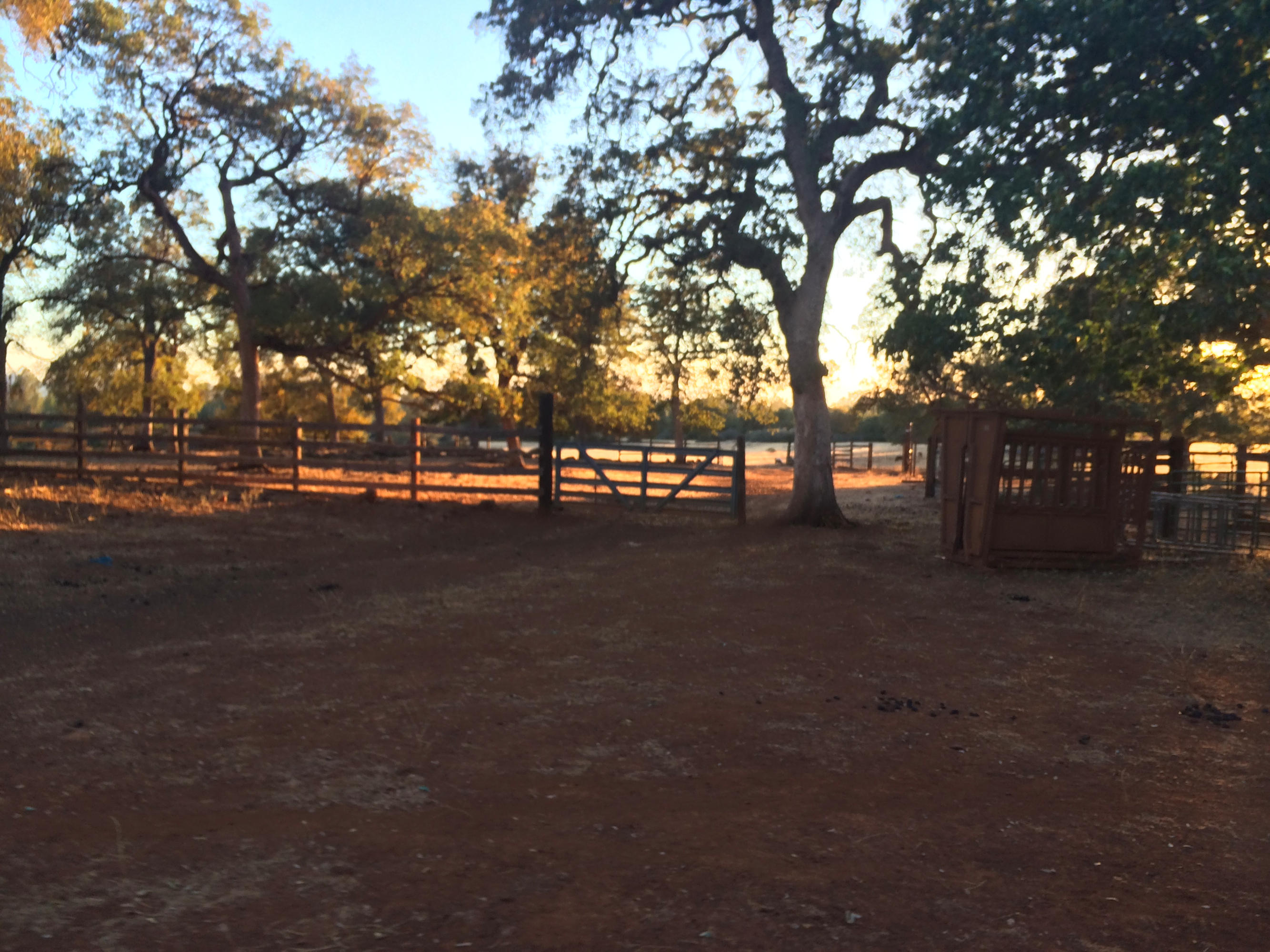 4955 Wilson Hill Road Manton, CA 96059 - Photo 59 of 89 IMG_8063