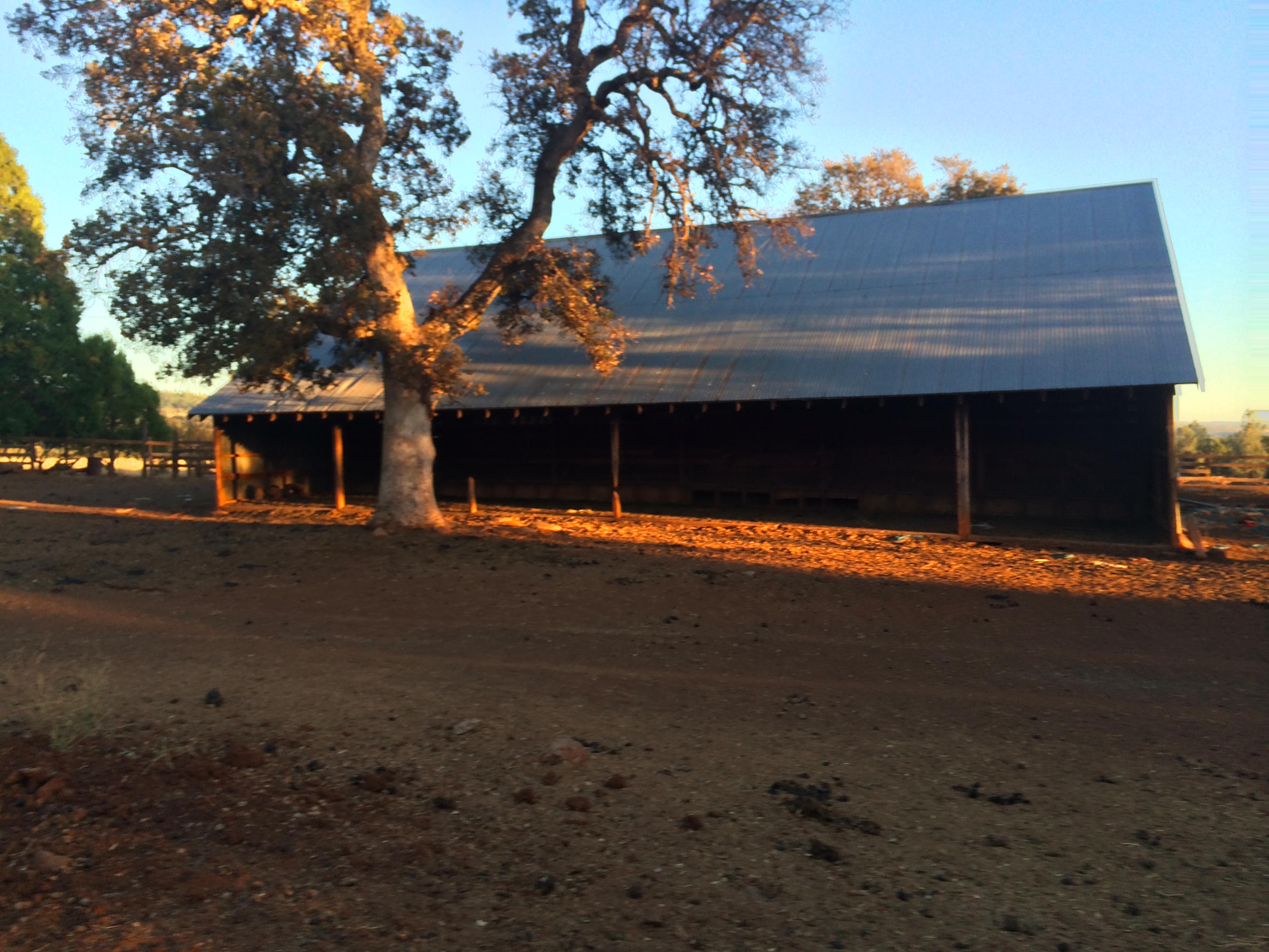 4955 Wilson Hill Road Manton, CA 96059 - Photo 60 of 89 IMG_8064