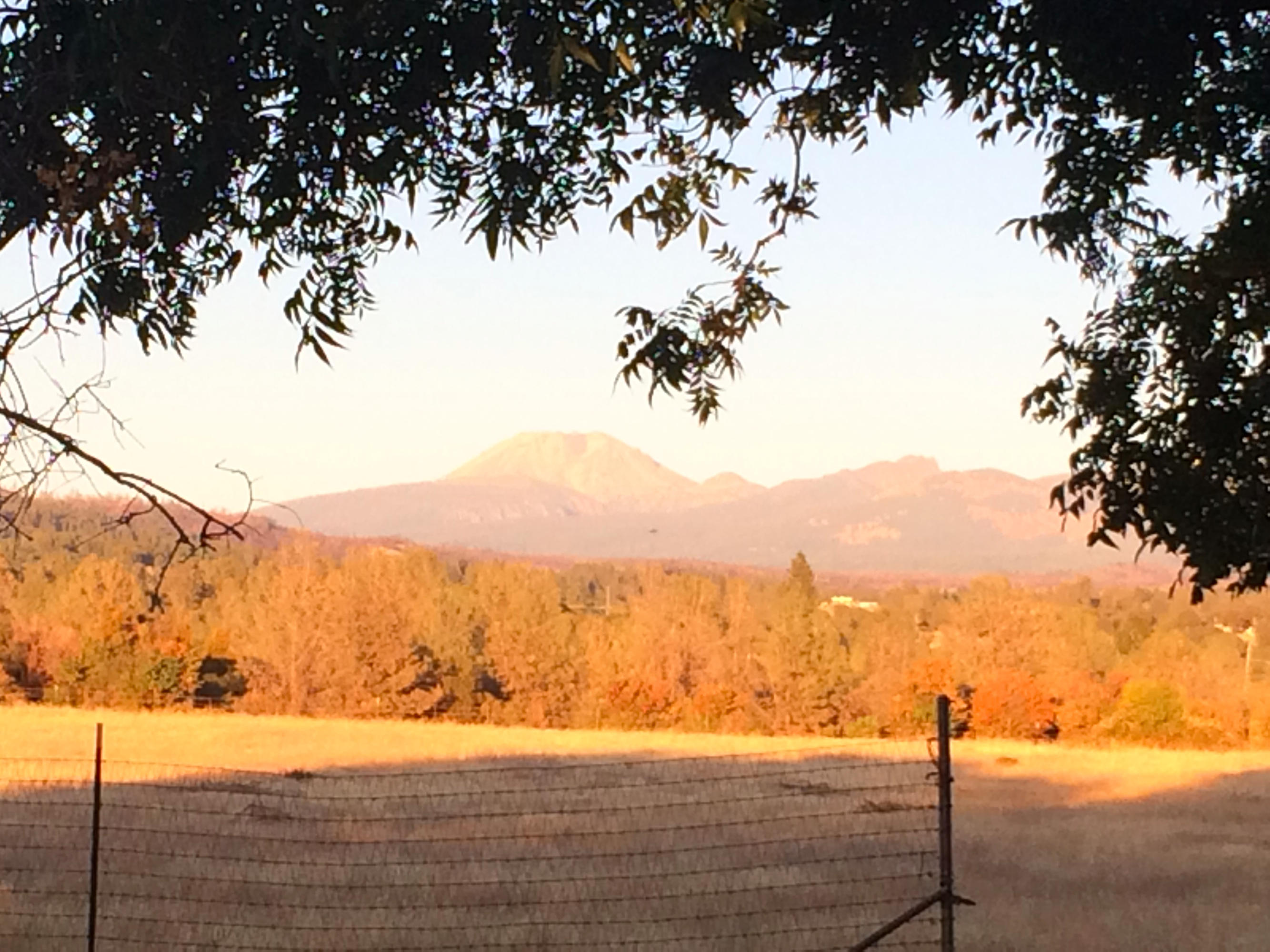 4955 Wilson Hill Road Manton, CA 96059 - Photo 66 of 89 IMG_8070
