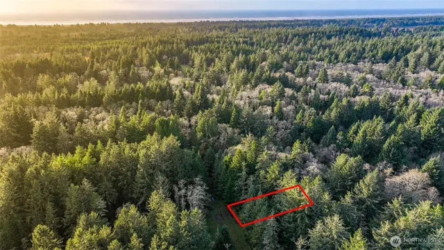 $9,499 | 13 357th Lane, Oysterville, WA 98641