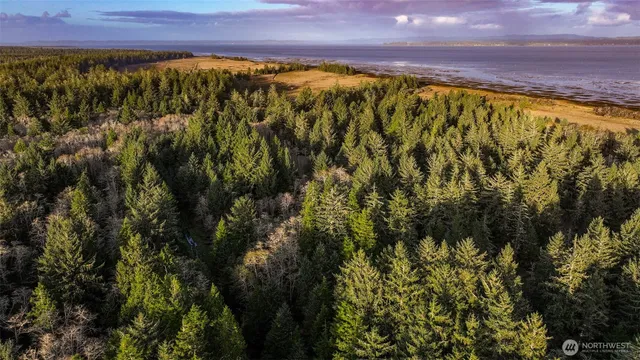 $9,499 | 13 357th Lane, Oysterville, WA 98641