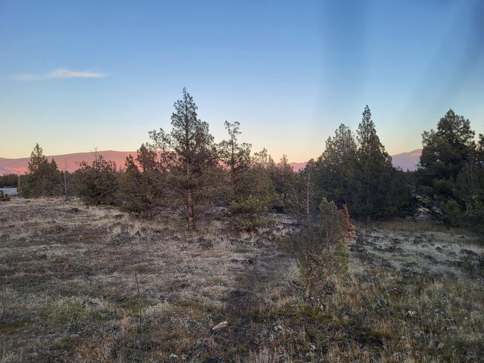 Lot 38 Big Springs Road Montague, CA 96064 - Photo 7 of 9 Gallery Image 7