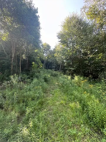 a view of outdoor space and green space