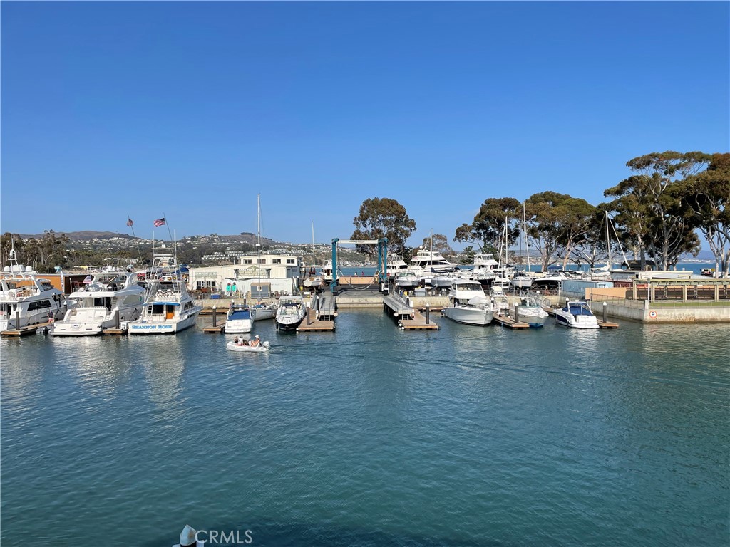 3446 Doheny Way Dana Point, CA 92629 - Photo 51 of 57