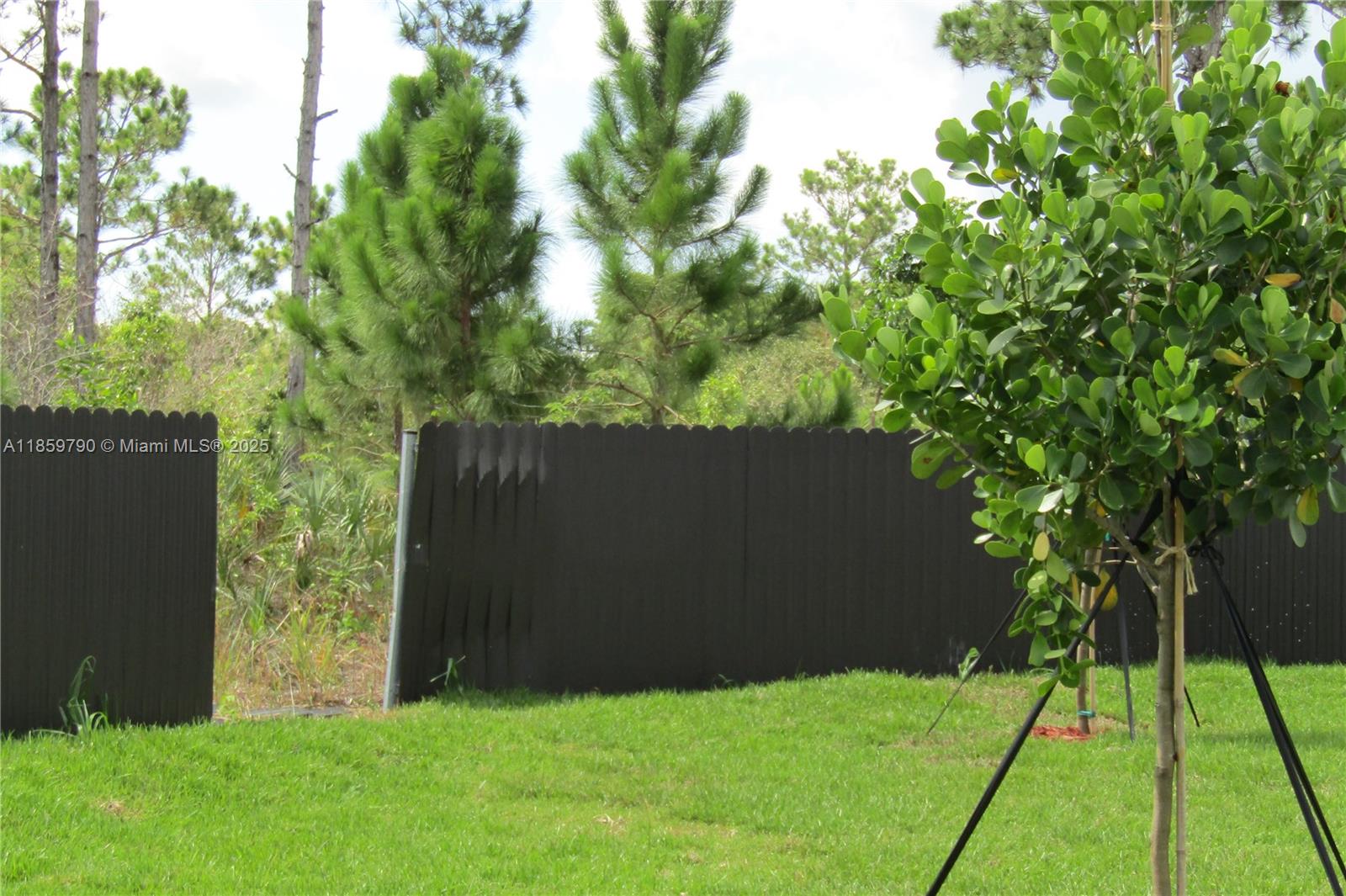 11998 Southwest 232nd Street Homestead, FL 33170 - Photo 29 of 30 a view of an outdoor space and a yard