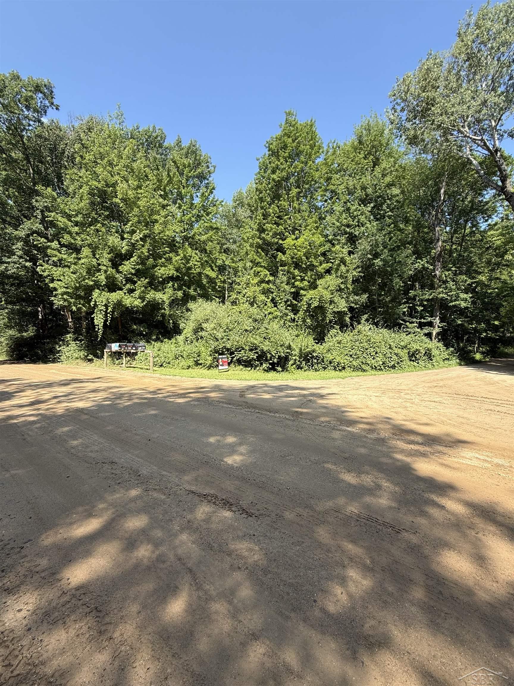 4477 Forest Road Harrison, MI 48625 - Photo 2 of 10