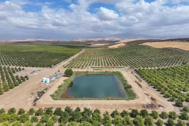 a view of a swimming pool with a yard