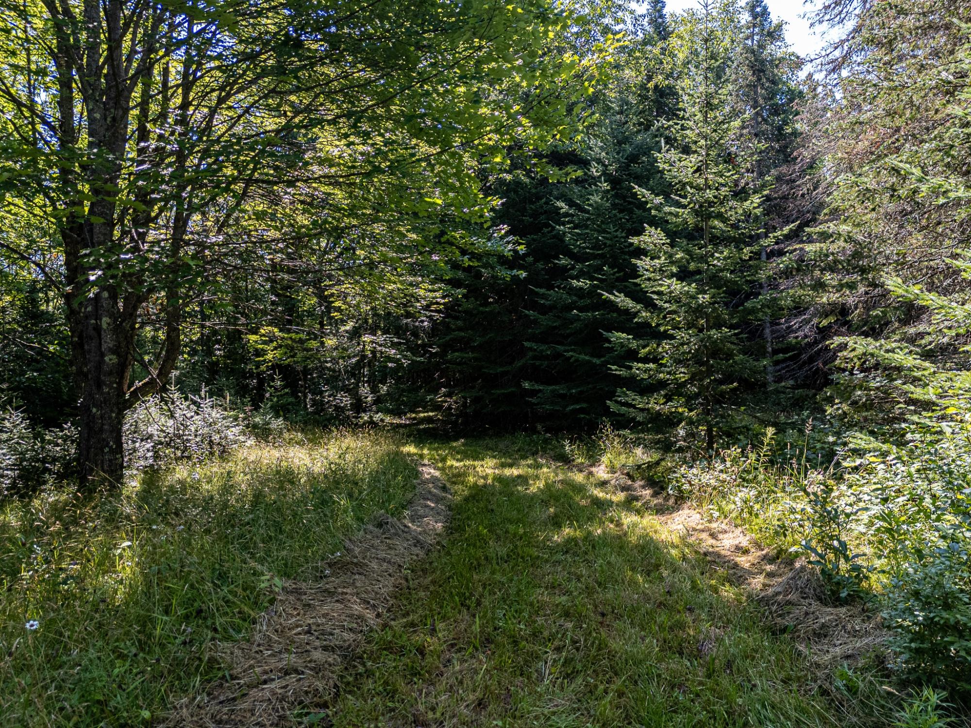 Lot 36 Hewitt Lane Mercer, WI 54547 - Photo 25 of 34 Gallery Image 25