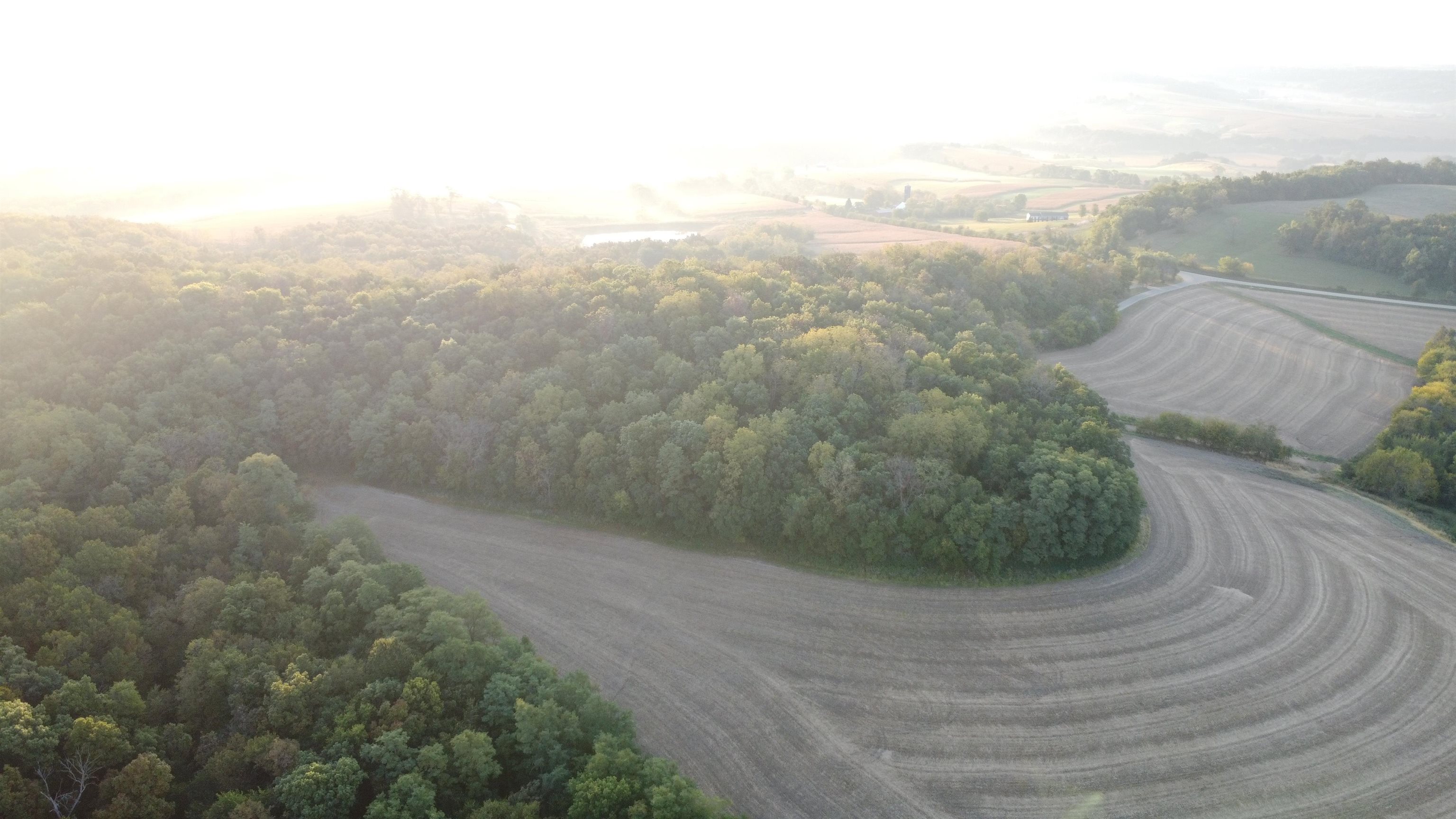 Tbd South Brown Road Stockton, IL 61028 - Photo 1 of 20 a view of a forest