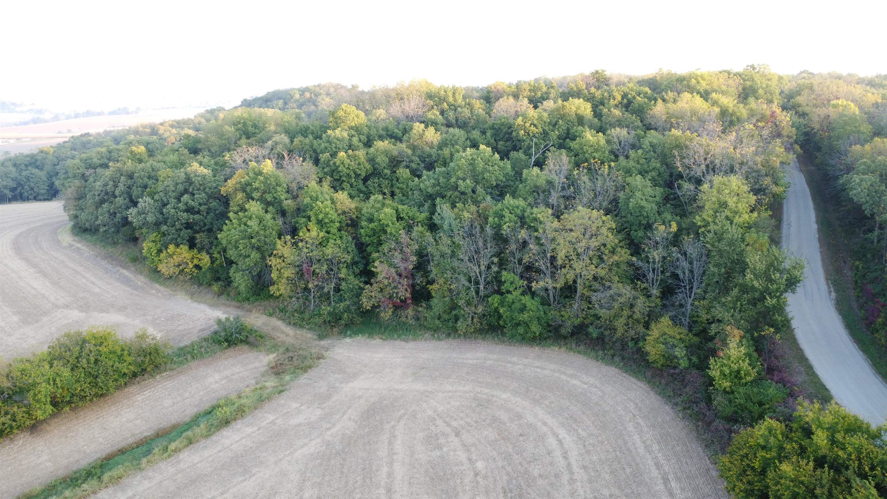 Tbd South Brown Road Stockton, IL 61028 - Photo 2 of 20 a view of a yard with a street