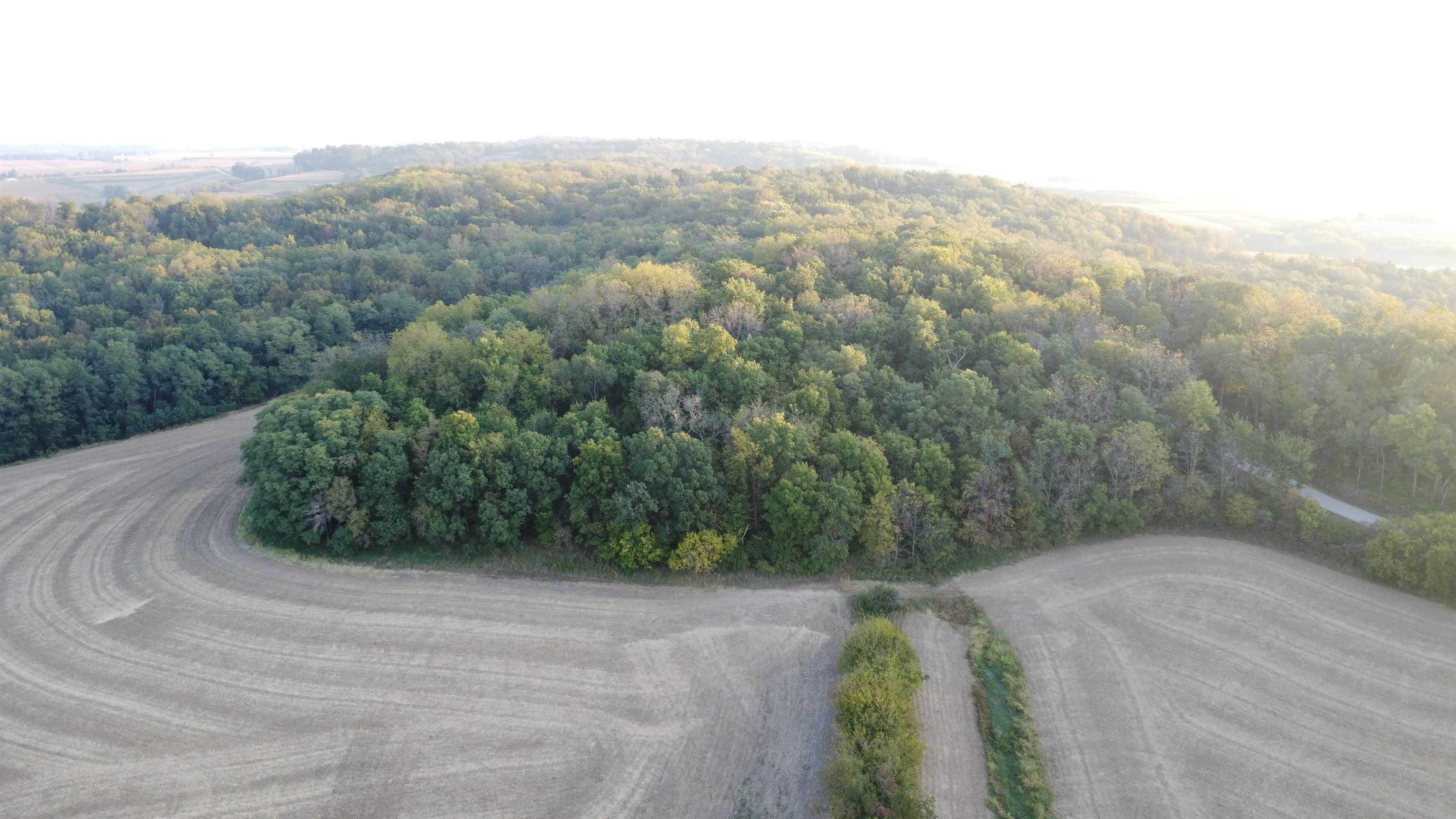 Tbd South Brown Road Stockton, IL 61028 - Photo 3 of 20 a view of a forest with a mountain