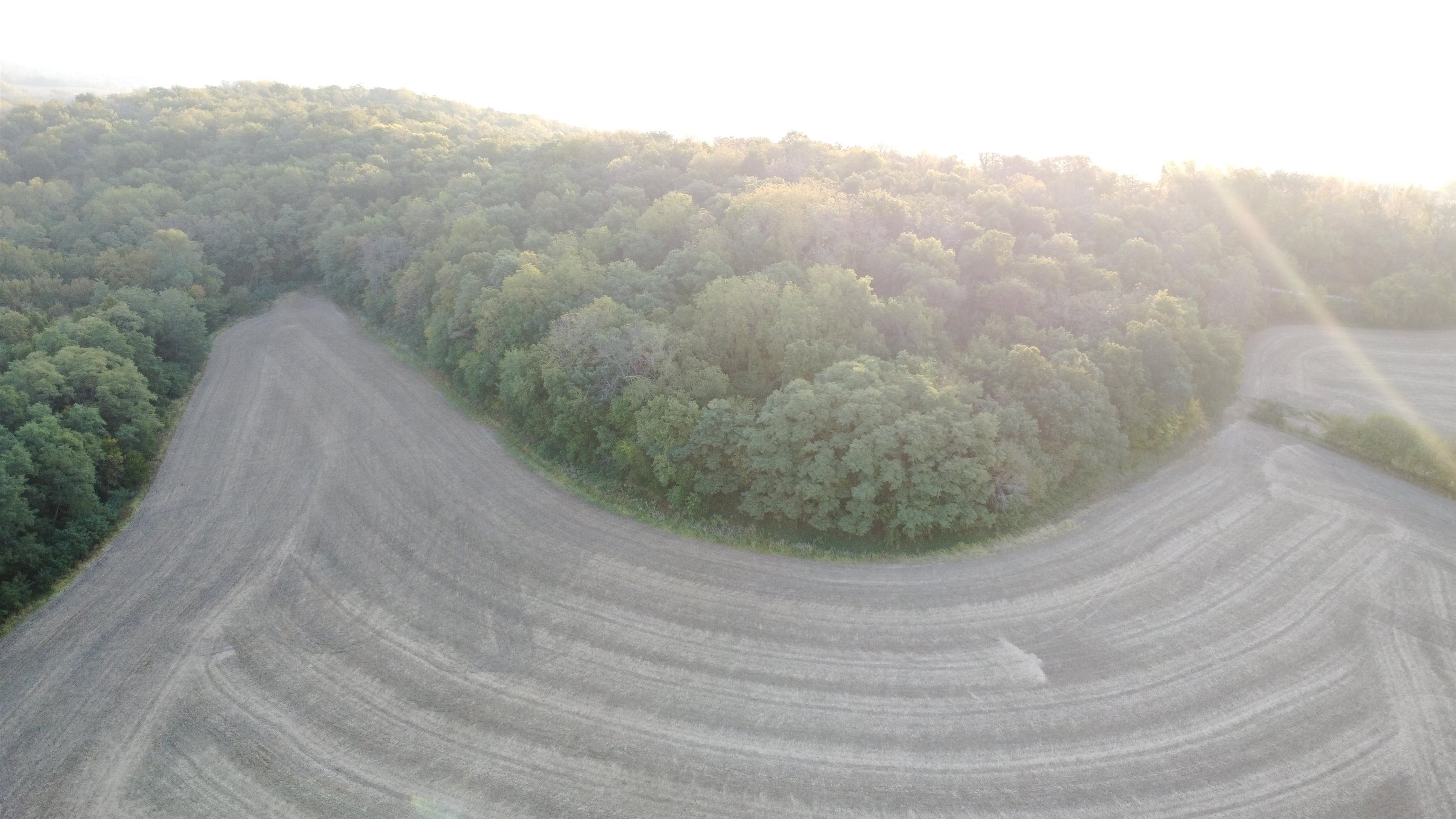 Tbd South Brown Road Stockton, IL 61028 - Photo 6 of 20 a view of a dry yard