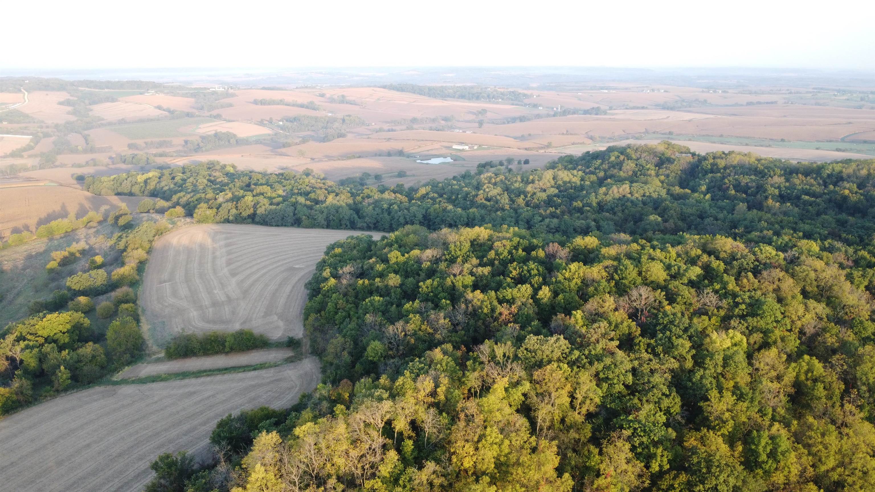 Tbd South Brown Road Stockton, IL 61028 - Photo 9 of 20 an aerial view of a houses with a yard and lake view