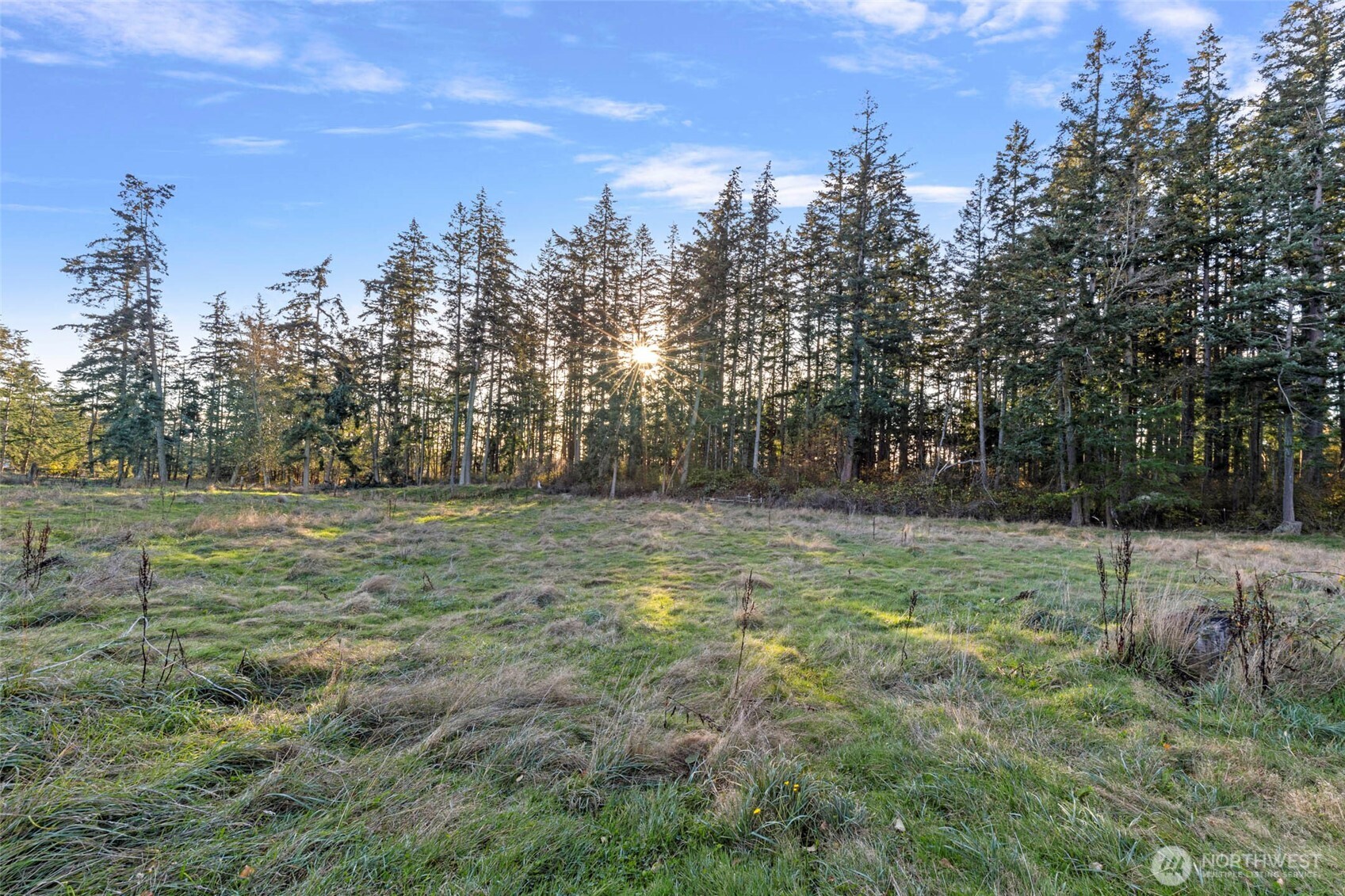 288 Torrence Lane Oak Harbor, WA 98277 - Photo 27 of 39 a view of outdoor space with deck and yard