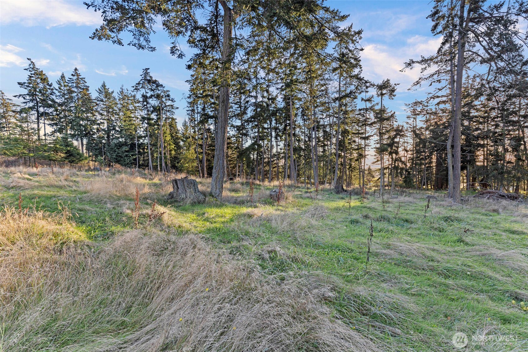 288 Torrence Lane Oak Harbor, WA 98277 - Photo 31 of 39 a view of outdoor space with trees all around