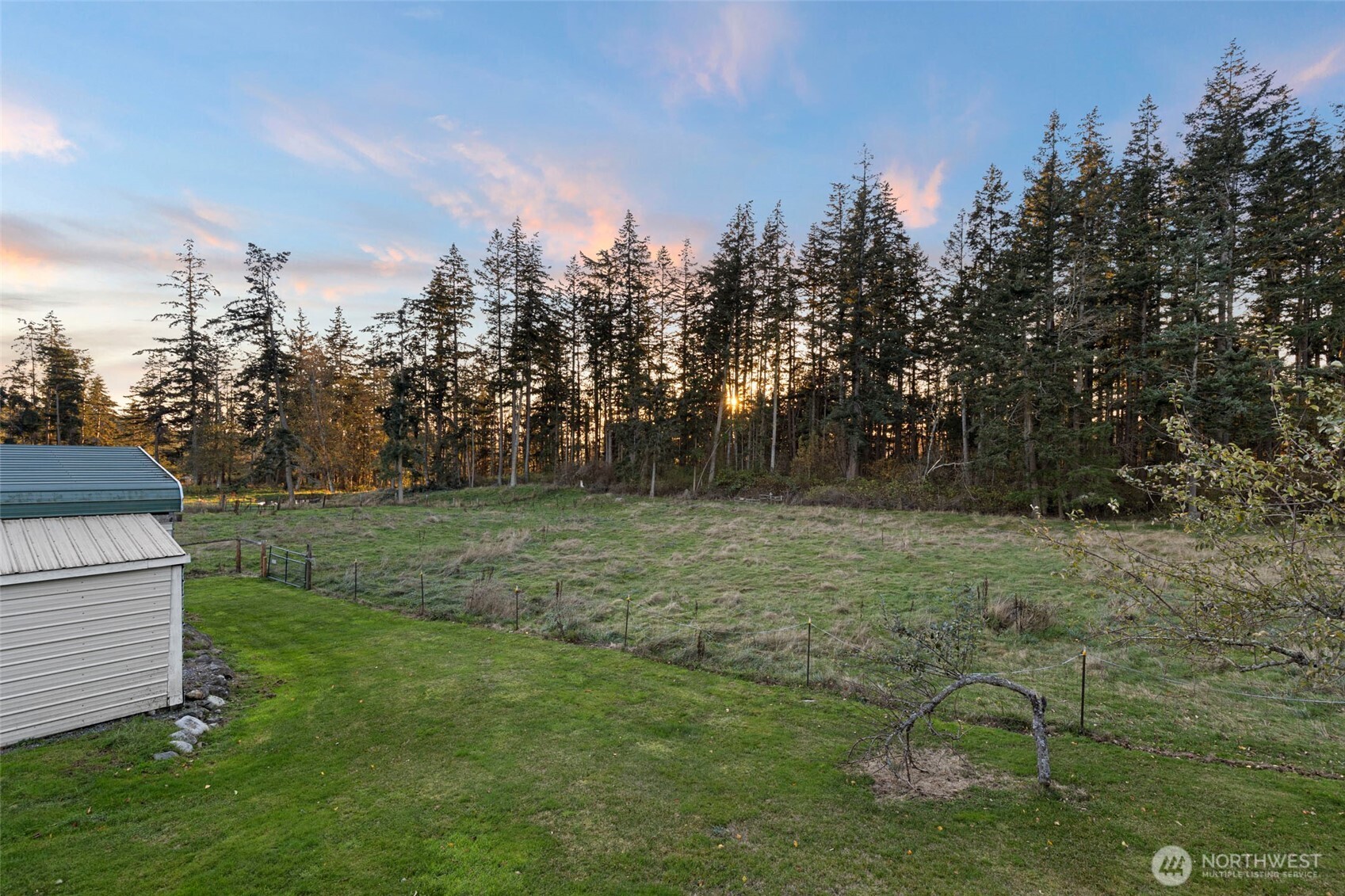 288 Torrence Lane Oak Harbor, WA 98277 - Photo 36 of 39 a backyard of a house with lots of green space