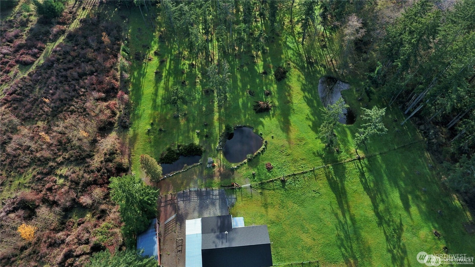 288 Torrence Lane Oak Harbor, WA 98277 - Photo 39 of 39 a view of swimming pool from a lake view