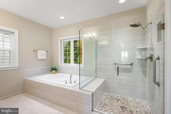 a view of a garden with a tree