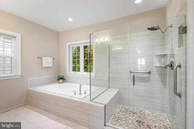 a view of a garden with a tree