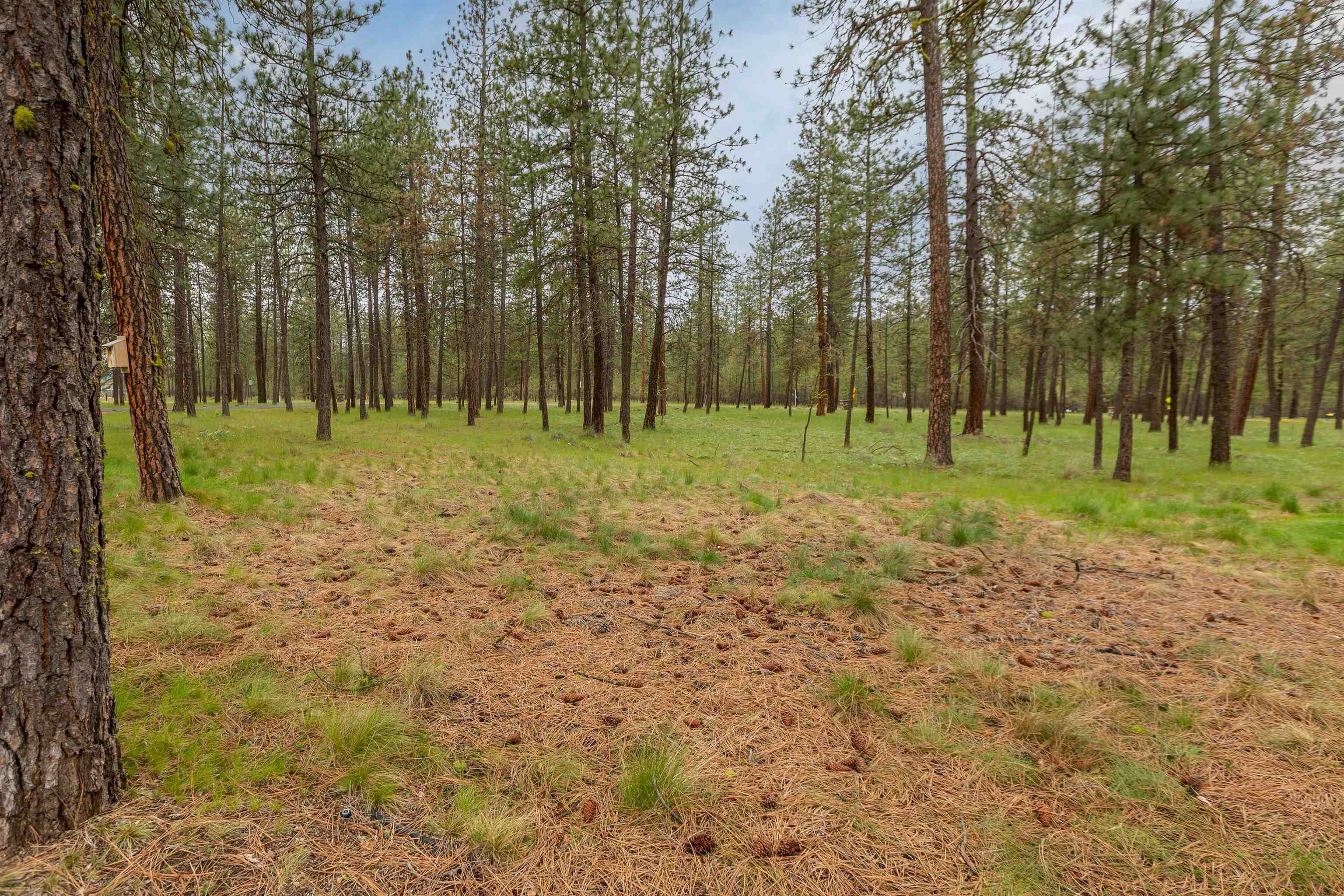 5923 West Rutter Parkway Spokane, WA 99208 - Photo 4 of 42