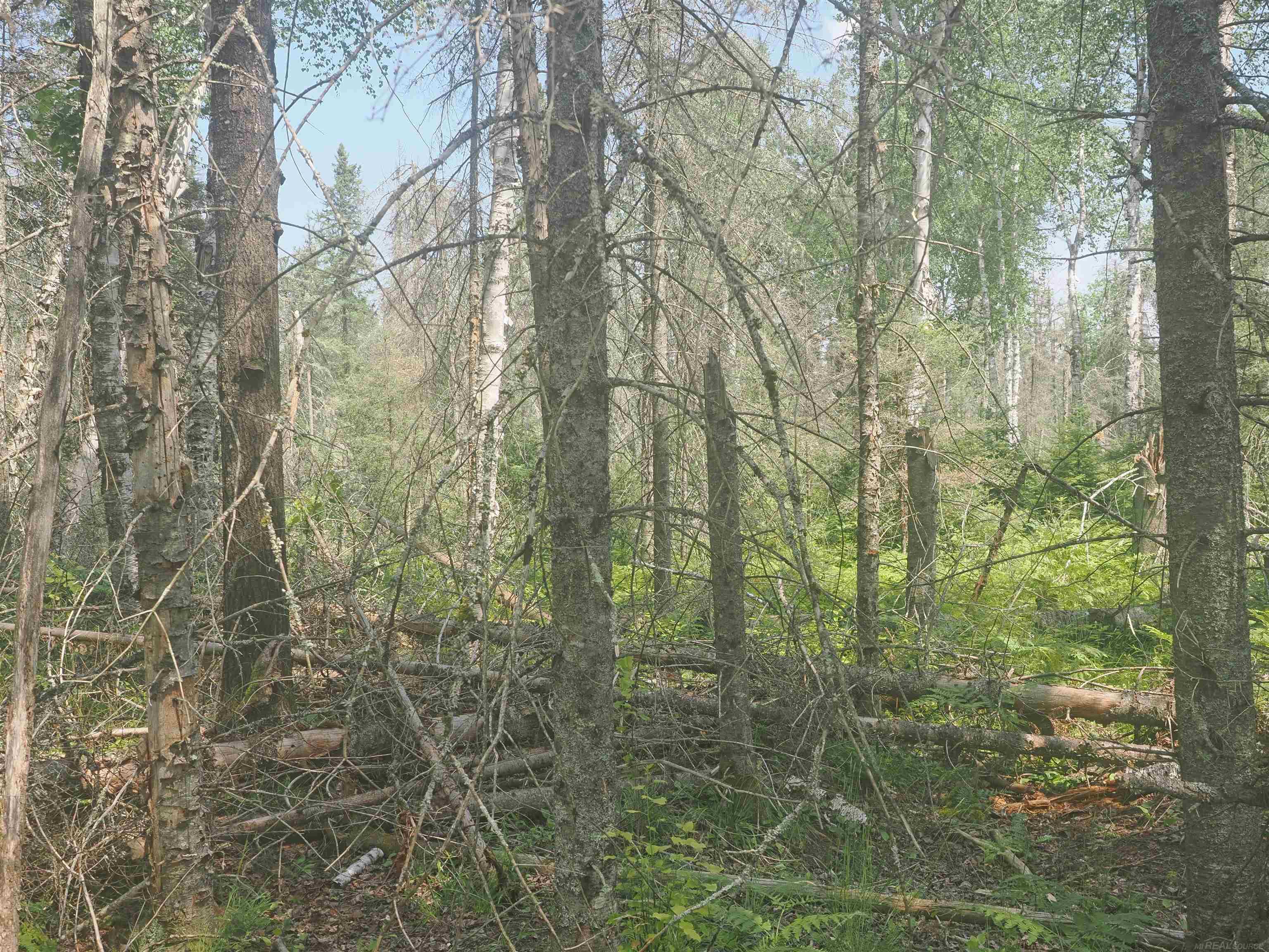 0 County Road Ishpeming, MI 49849 - Photo 79 of 85
