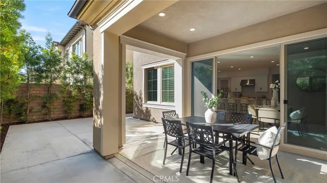 a view of a garden with plants