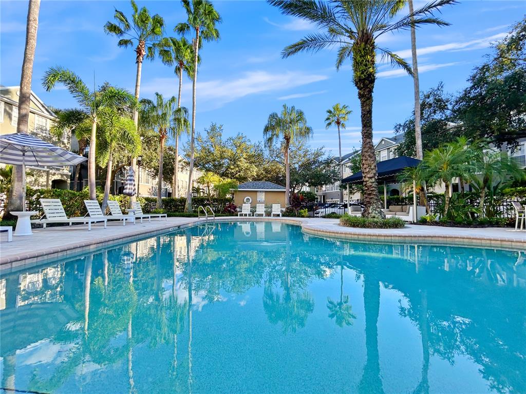 1468 Harbour Walk Road Tampa, FL 33602 - Photo 35 of 40 a swimming pool view with a garden space