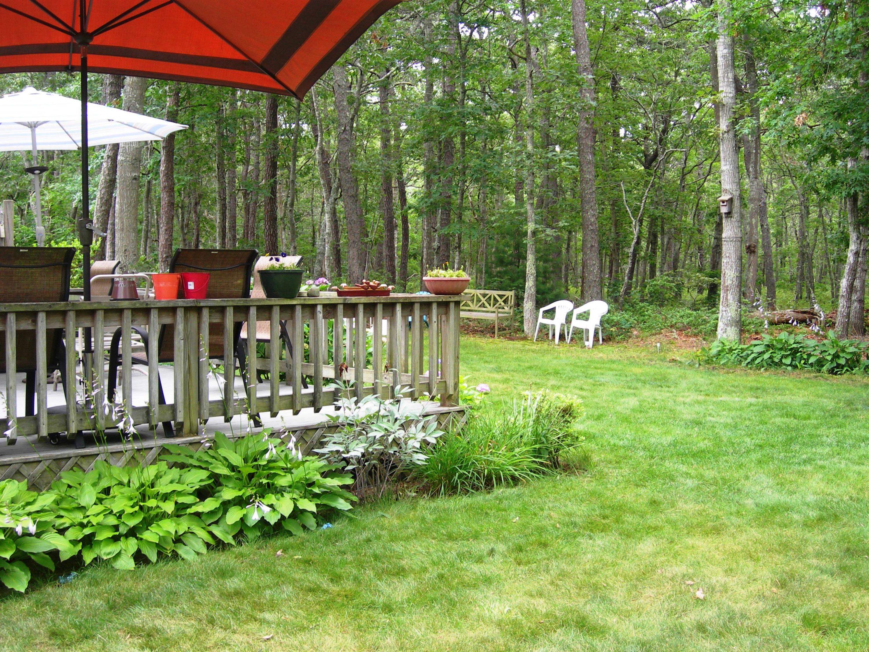 53 Chadwick Road Dennis, MA 02660 - Photo 18 of 19 Yard