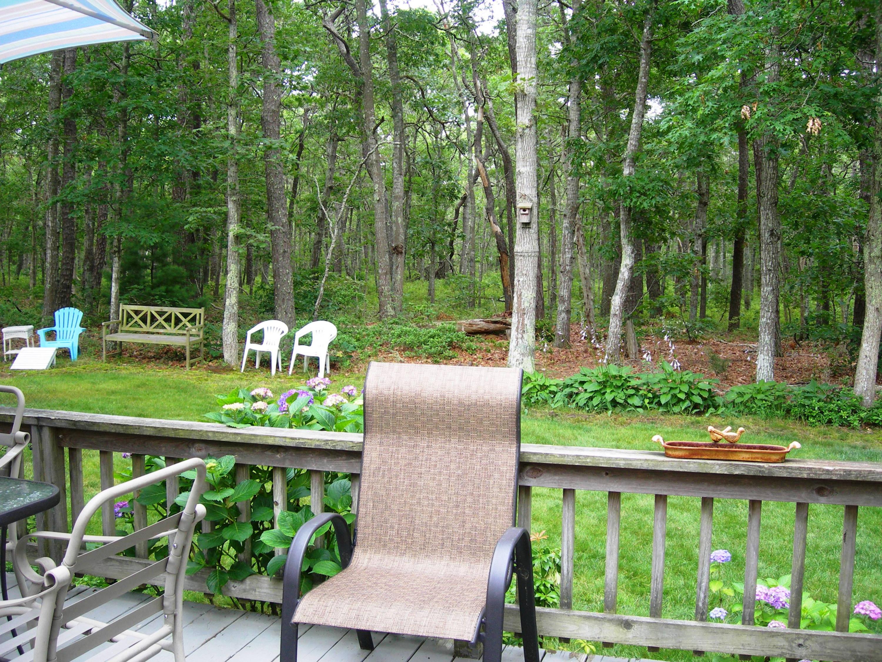 53 Chadwick Road Dennis, MA 02660 - Photo 3 of 19 Conservation