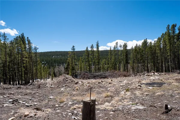 $124,000 | 3149 Nugget Road, Fairplay, CO 80440