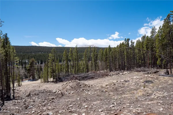 $124,000 | 3149 Nugget Road, Fairplay, CO 80440