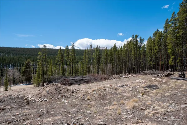 $124,000 | 3149 Nugget Road, Fairplay, CO 80440