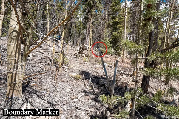 $124,000 | 3149 Nugget Road, Fairplay, CO 80440