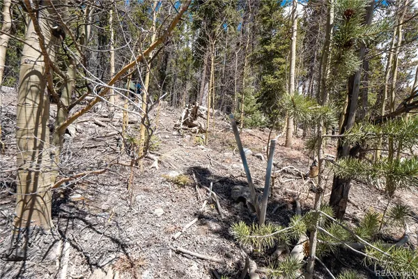 $124,000 | 3149 Nugget Road, Fairplay, CO 80440