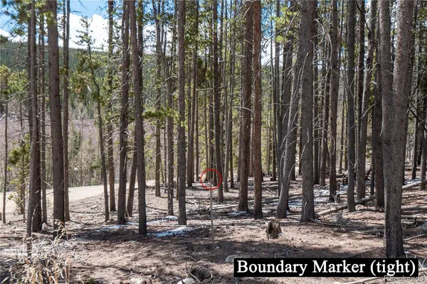 $124,000 | 3149 Nugget Road, Fairplay, CO 80440