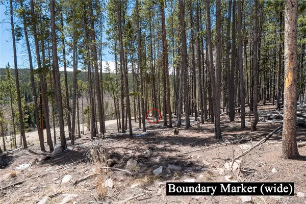 $124,000 | 3149 Nugget Road, Fairplay, CO 80440