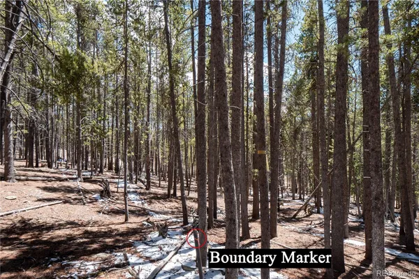 $124,000 | 3149 Nugget Road, Fairplay, CO 80440