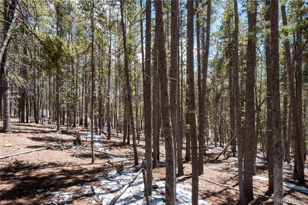 $124,000 | 3149 Nugget Road, Fairplay, CO 80440