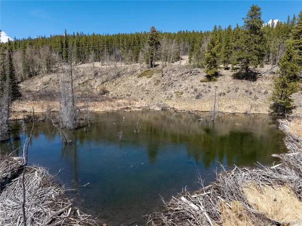 $124,000 | 3149 Nugget Road, Fairplay, CO 80440