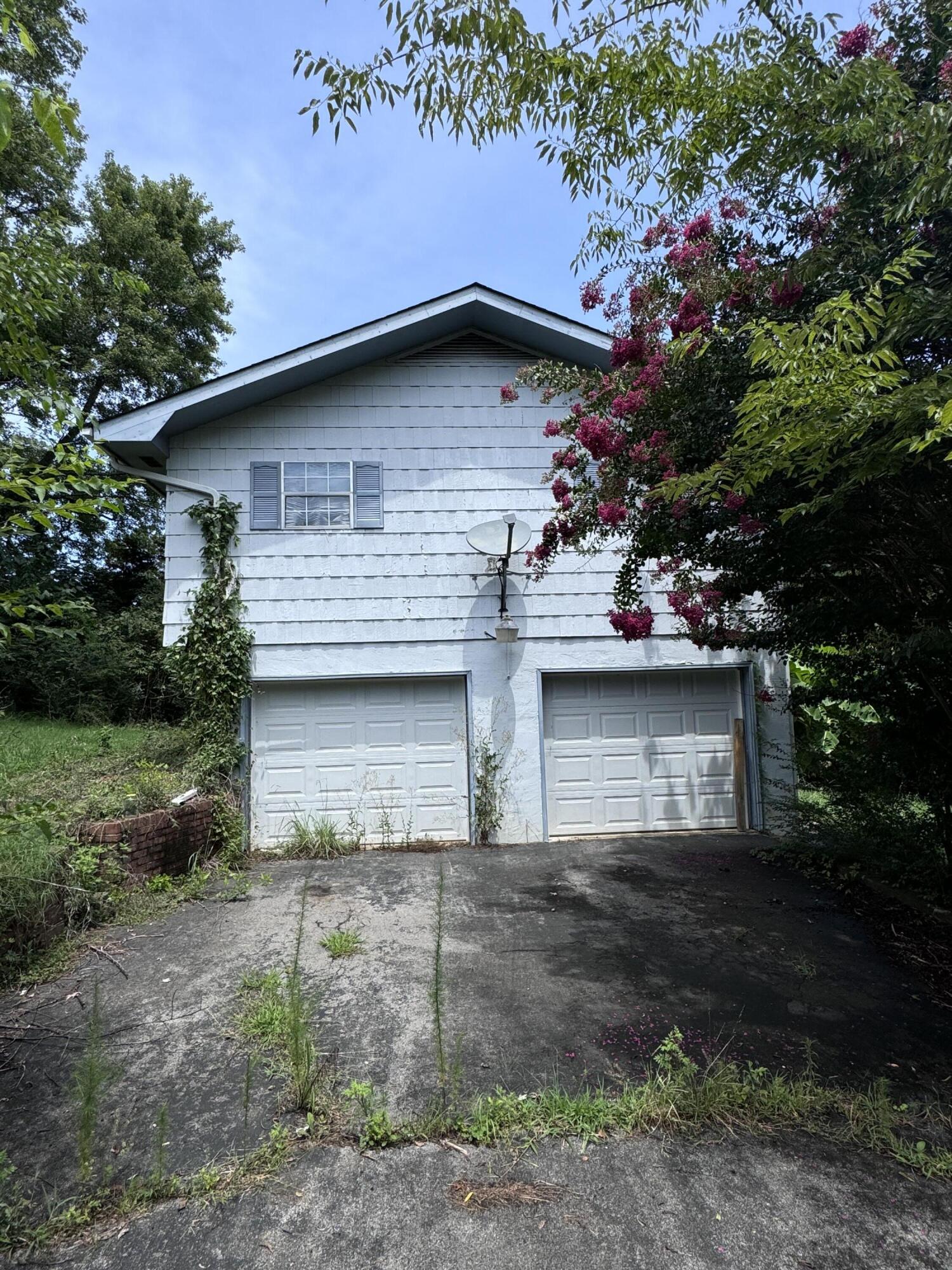 477 Cedar Valley Lane Decatur, TN 37322 - Photo 2 of 8 IMG_5976