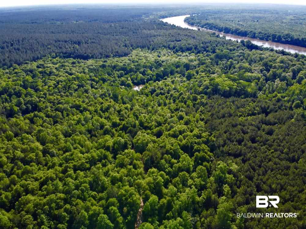 0 Country Road Uriah, AL 36480 - Photo 12 of 49