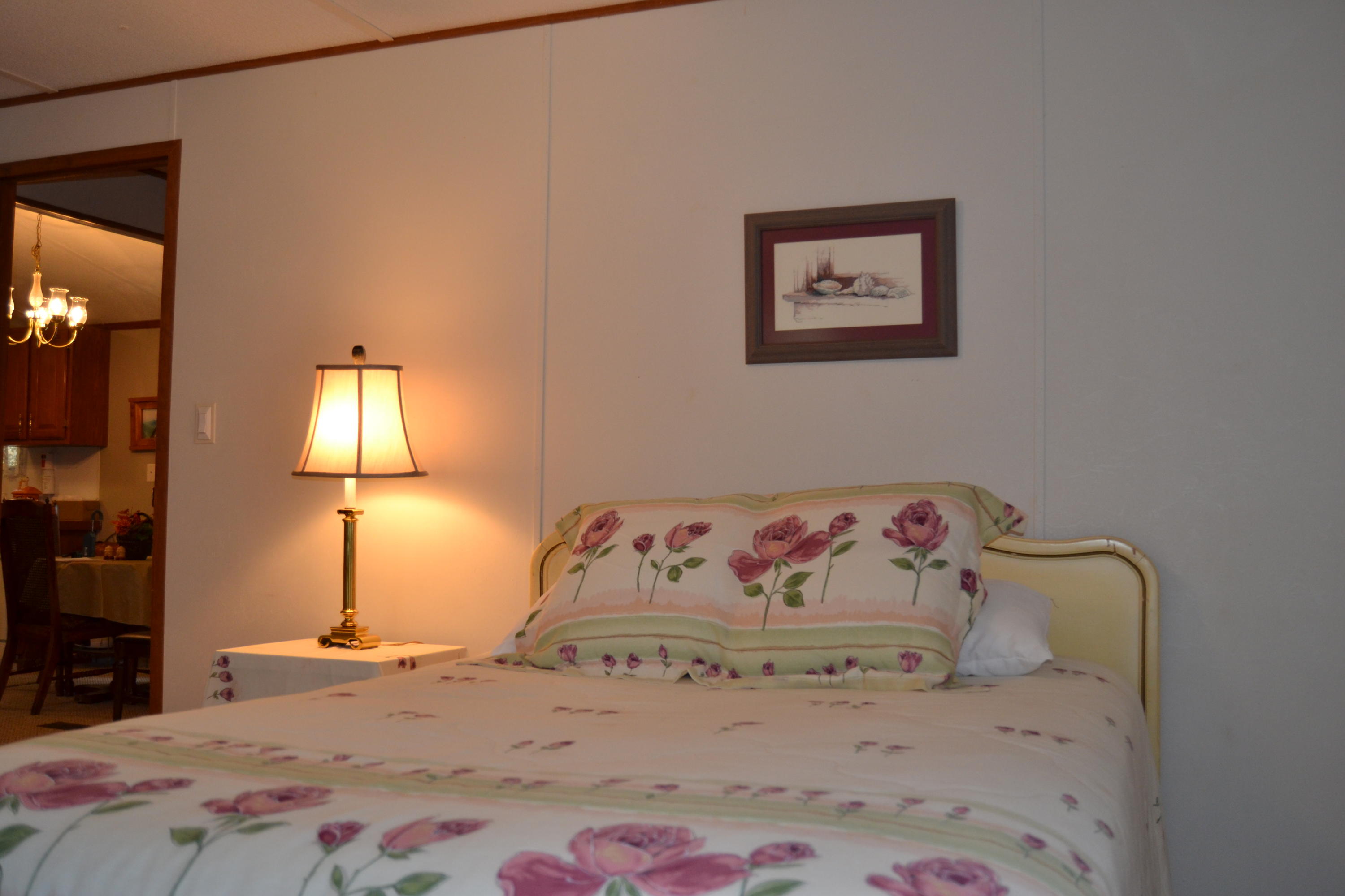 2507 Ridge Road Pigeon Forge, TN 37863 - Photo 19 of 29 DSC_0123