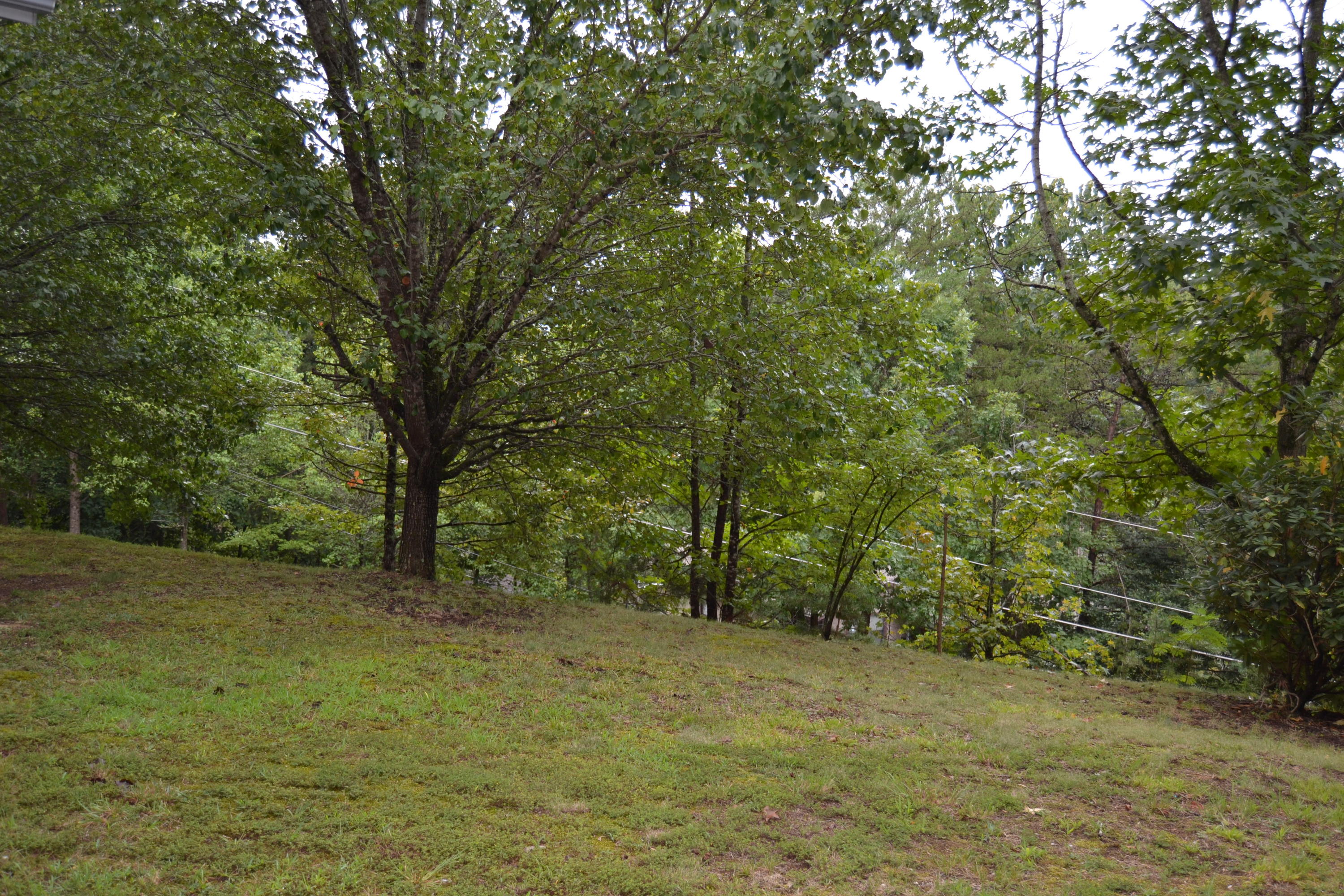 2507 Ridge Road Pigeon Forge, TN 37863 - Photo 27 of 29 DSC_0136