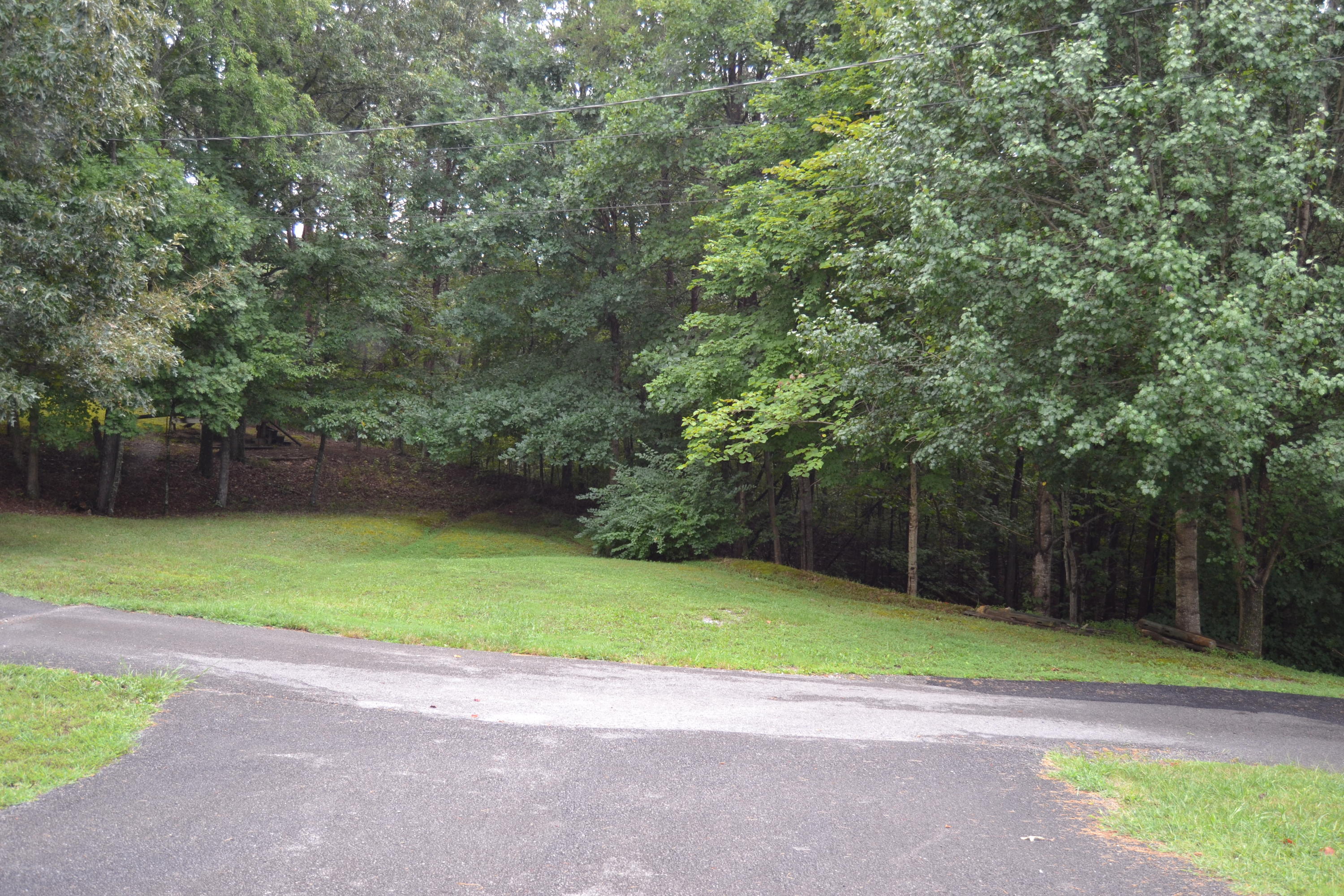 2507 Ridge Road Pigeon Forge, TN 37863 - Photo 29 of 29 DSC_0140