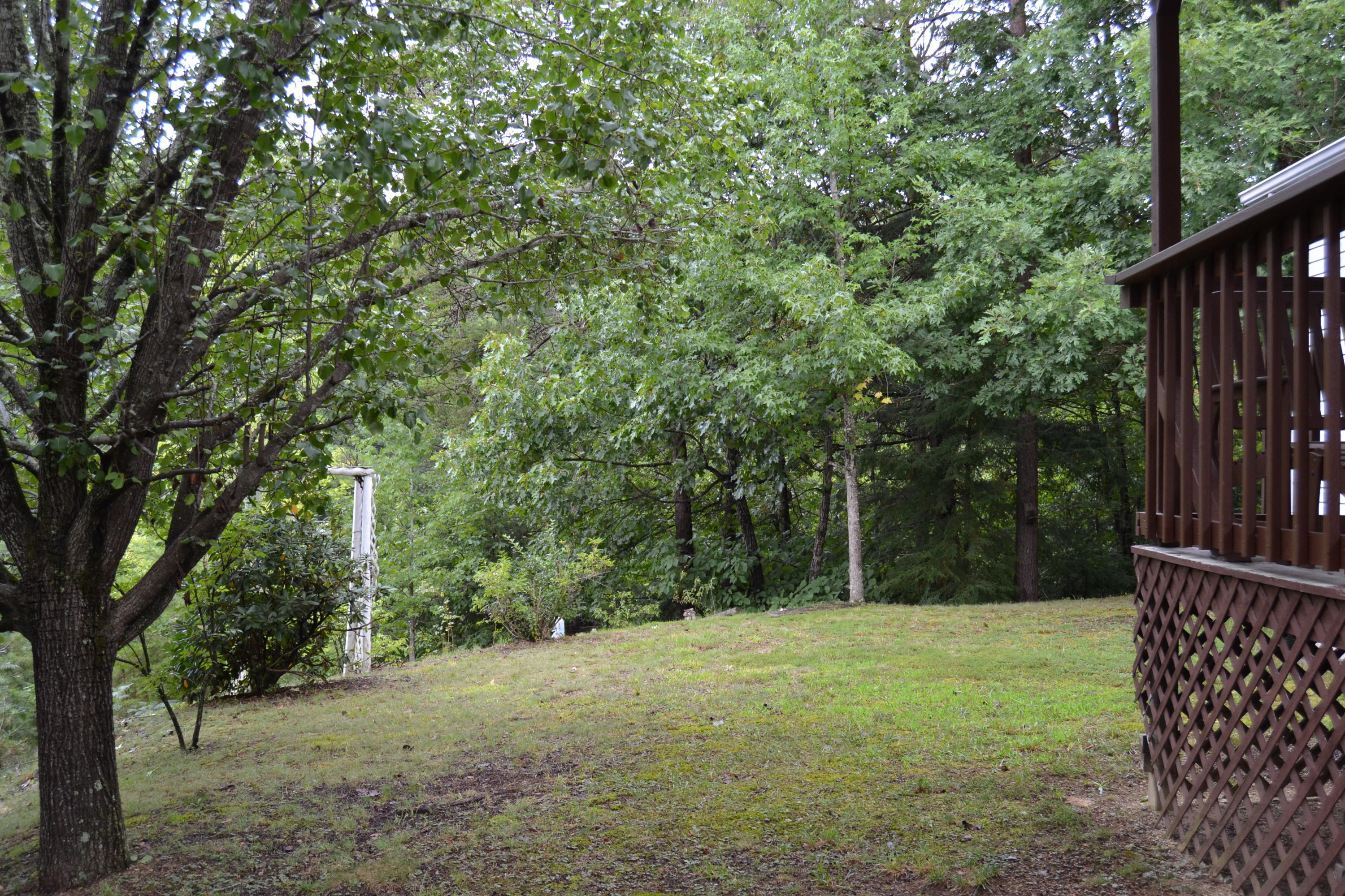 2507 Ridge Road Pigeon Forge, TN 37863 - Photo 4 of 29 DSC_0130
